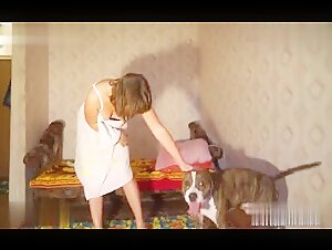 Pitbull Goes Wild in XXX Video: Cameraguy Helps Mighty Pet Attack Woman and Shove His Cock into Her Tight Pussy!