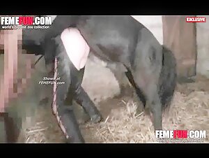 WARNING: Shock Video of Horse Cum in Woman's Mouth - Watch and Download Now!