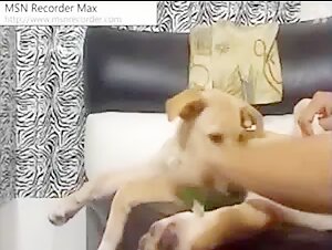 Amateur Girl's Dog Sex Free on Cam - Watch This Shocking Animal Video Now!