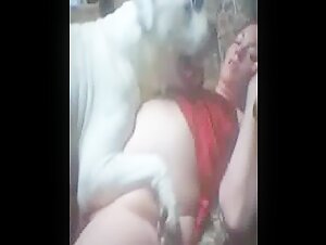 Enjoy free animal sex videos, including a good dog fucking a lady, right here on our site.