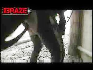 free pornographic video watch only on our website to view free animal sex.