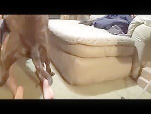 Dog fucking hard big ass bitch free porn video xxx