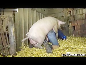 Unbelievable Discovery: A Pig Fucks My Husband – An Unforgettable True Story!