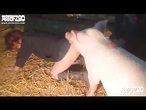 Animal is getting a blowjob by a slender lass sex animal porn clip