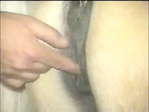 Watch free porn video of a juicy horse a$$ and see free animal sex exclusively on our site.